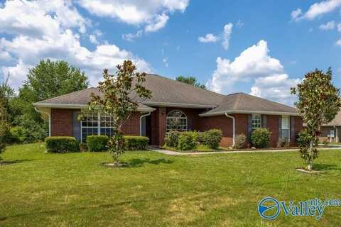 28069 Odie Scott Drive, Ardmore, AL 35739
