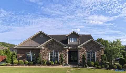 4504 SE Hampton View Drive, Owens Cross Roads, AL 35763