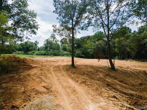 1717 County Road 1579, Baileyton, AL 35019