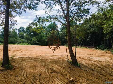 1717 County Road 1579, Baileyton, AL 35019