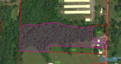 1717 County Road 1579, Baileyton, AL 35019