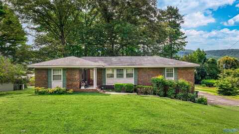 3009 Alabama Avenue NW, Fort Payne, AL 35967