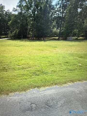 144 Friar Tuck Way, Fyffe, AL 35971