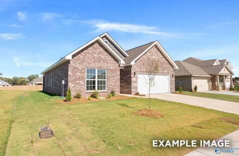 151 Ivy Vine Drive, Toney, AL 35773