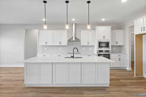 107 Summer Creek Drive, Meridianville, AL 35759