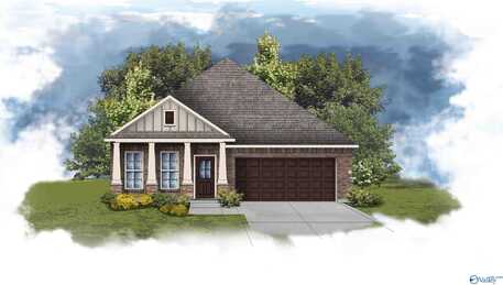 206 James River Drive, Madison, AL 35756