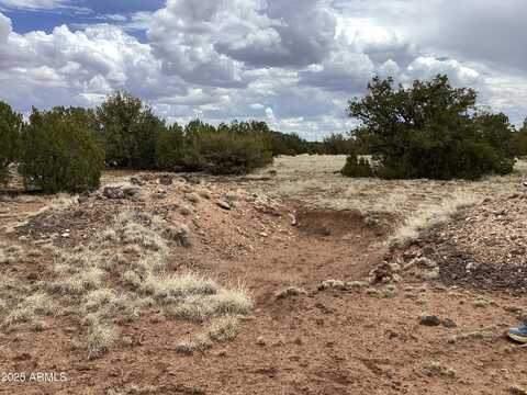 207 ACR 8056 Road, Concho, AZ 85924