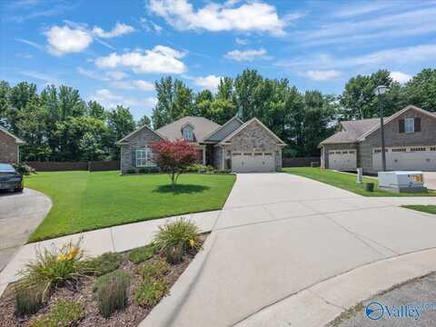 114 Silent Spring Court, Harvest, AL 35749
