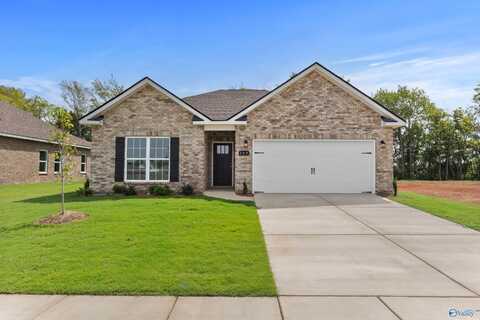 153 Ivy Vine Drive, Toney, AL 35773