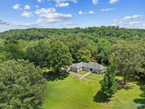 96 Seneca Springs Drive, Trinity, AL 35673