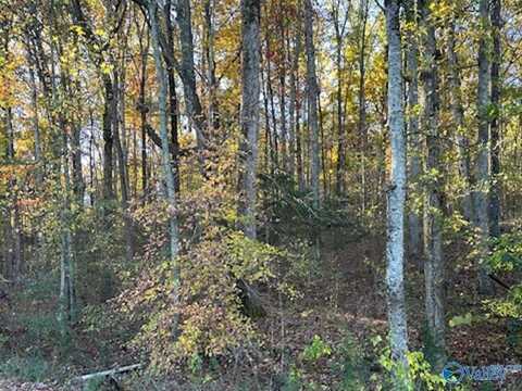 129 Price Mountain Drive S, Decatur, AL 35603
