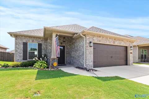 12702 Juniors Drive, Madison, AL 35756