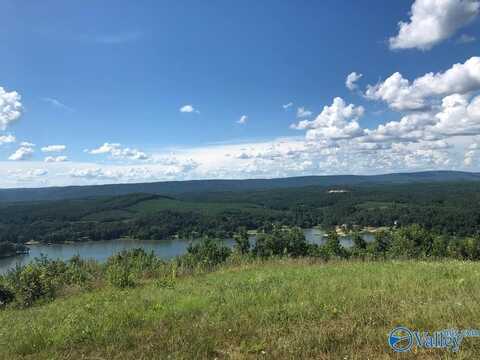 Lot 221 County Road 1022, Cedar Bluff, AL 35959