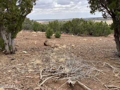 Xxx Stanford Drive, Concho, AZ 85924