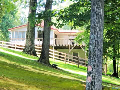 1532 Riverfront Road, Rogersville, AL 35652