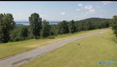 Lot 62 County Road 1022, Cedar Bluff, AL 35959