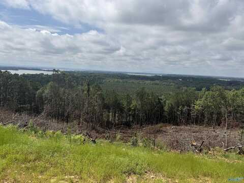 Lot 6 County Road 1022, Cedar Bluff, AL 35959