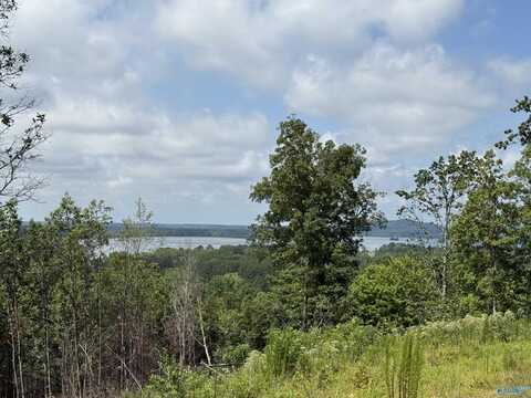 Lot 5 County Road 1022, Cedar Bluff, AL 35959