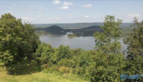 Lot 292 County Road 1022, Cedar Bluff, AL 35959
