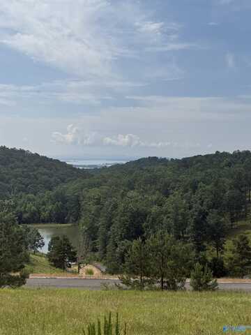 Lot 215 County Road 1022, Cedar Bluff, AL 35959