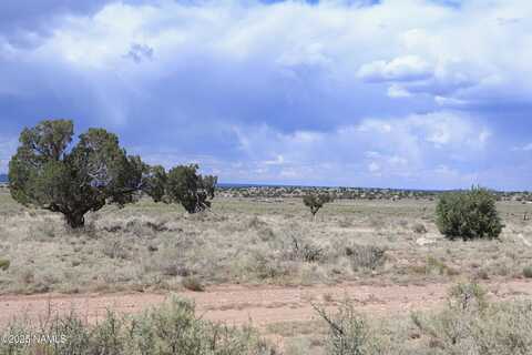 815 E Wesleyan Avenue, Williams, AZ 86046
