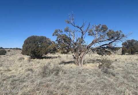 790 S Wyandotte Road, Williams, AZ 86046