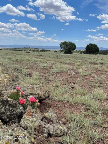 30222102c W Dozer Avenue, Ash Fork, AZ 86320