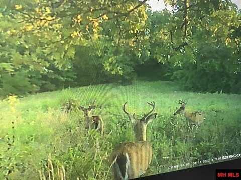 1145 SANDERS FIELD, Saint Joe, AR 72675