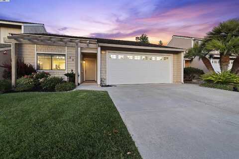 236 Tomas Way, Pleasanton, CA 94566