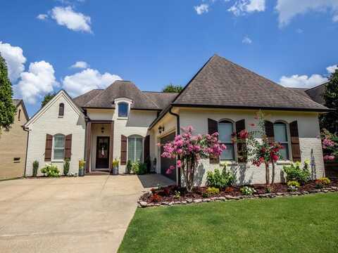 321 Windsor Dr N, Oxford, MS 38655