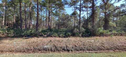 10560 BECKENGER Avenue, Hastings, FL 32145