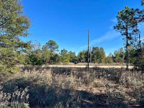 0 Cardinal Avenue, Marianna, FL 32448