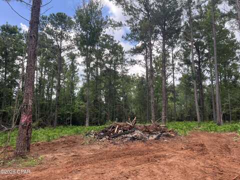 2852 Lovewood Drive, Cottondale, FL 32431