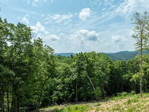 Lt175 Southern Cross Court, Blue Ridge, GA 30513