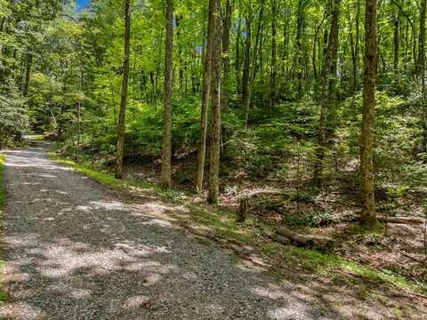 Paradise Lane, Ellijay, GA 30540