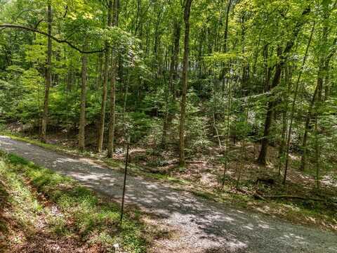 Jagger Run, Ellijay, GA 30540