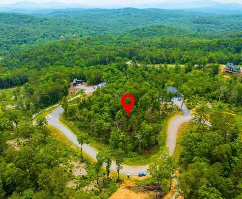 Mountain Laurel Ridge, Mineral Bluff, GA 30559
