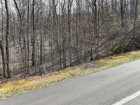 65 St Andrews Way, Ellijay, GA 30536