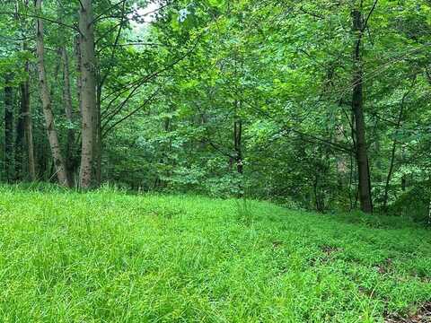 Lot 59 Timberwalk Drive, Ellijay, GA 30540