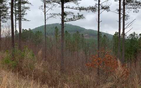 Lot 59 Ridge Peak View, Blairsville, GA 30512