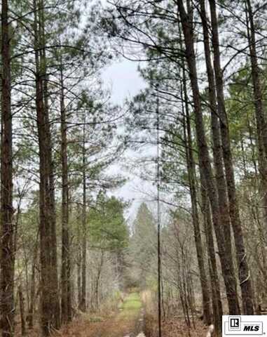 GOURD BAYOU ROAD, Monroe, LA 71202