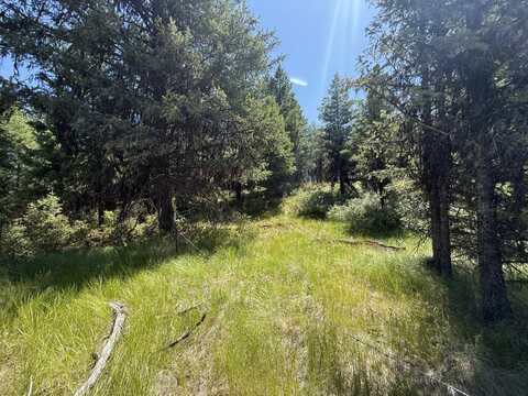 135 SLIPPERY HILL LN, REPUBLIC, WA 99166