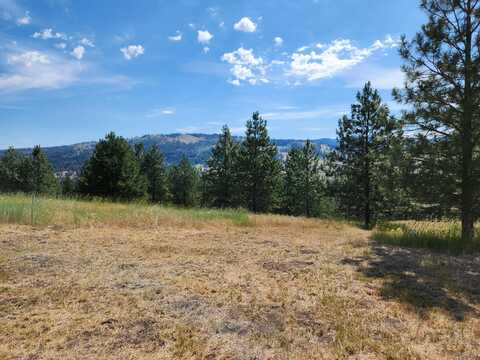 4 MEADOWLARK LN, REPUBLIC, WA 99166