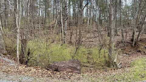 TBD Cherry Blossom Lane, Wytheville, VA 24382