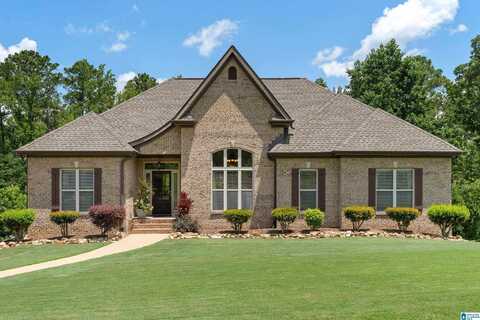 3278 RIVER BIRCH TRAIL, CHELSEA, AL 35043