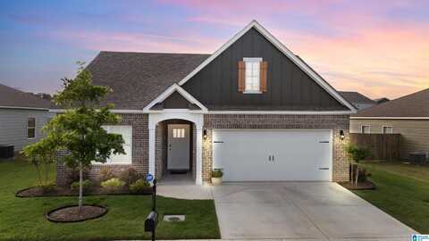 22989 DOWNING PARK CIRCLE, Mc Calla, AL 35111