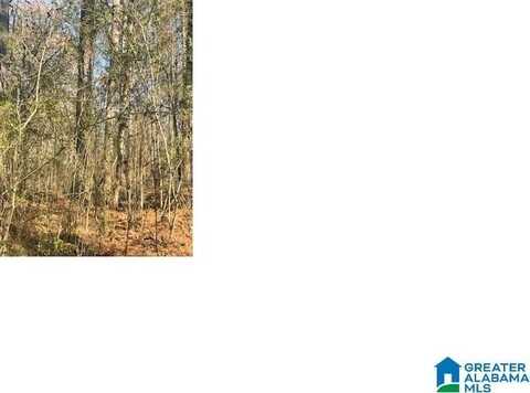 0 AURORA DRIVE, ALPINE, AL 35014