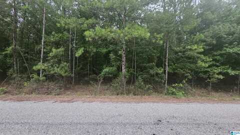 470 COUNTY ROAD 518, SELMA, AL 36701