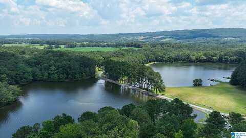 411 DR JENKINS LANE, ALTOONA, AL 35952