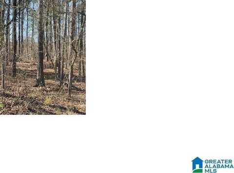 0 AURORA DRIVE, ALPINE, AL 35014